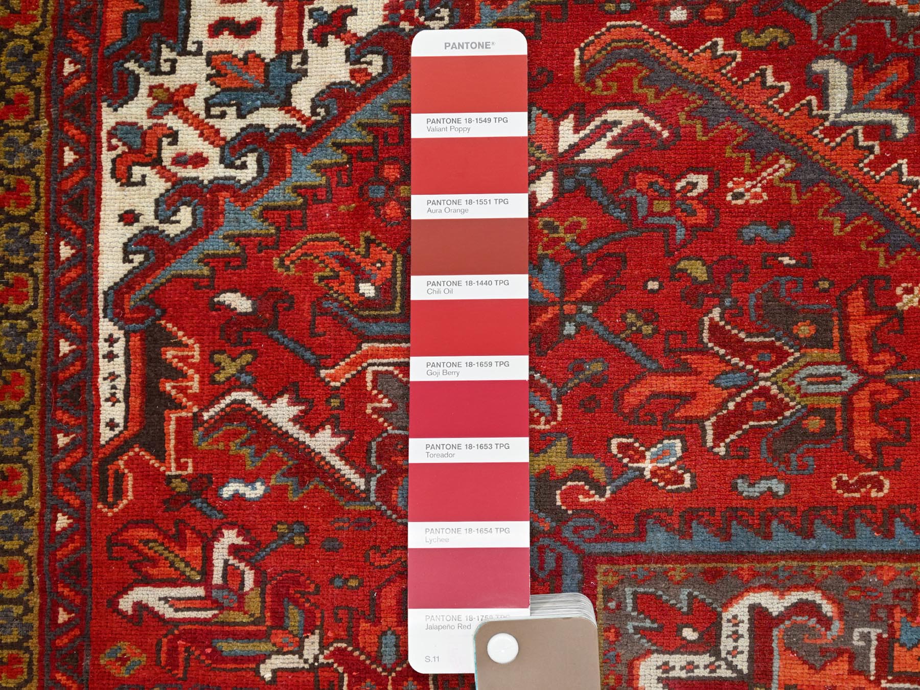 HerizRugs ORC770292
